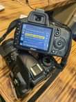 A picture of nikon D3100