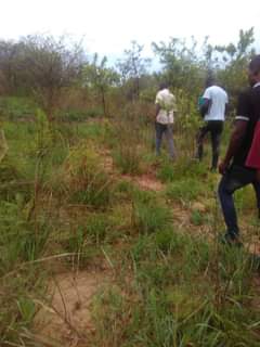 mwembeshi