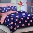 A picture of 10PC DUVET WITH A REMOVABLE COVER The package comes with