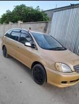 A picture of Toyota Nadia