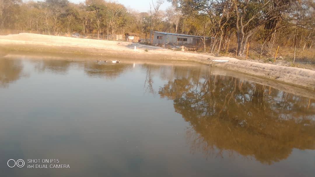 farms for sale