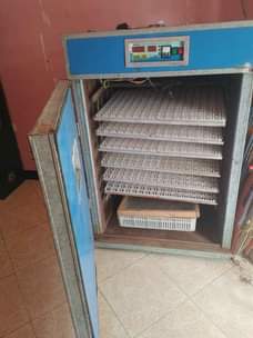 A picture of 1200 Eggs Capacity Incubator New