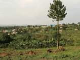 A picture of SMK properties LTD Plot from 2 4m New site is