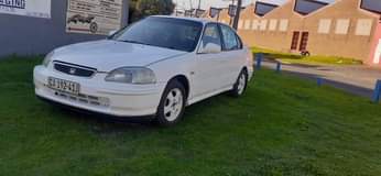 Sparesmania M.