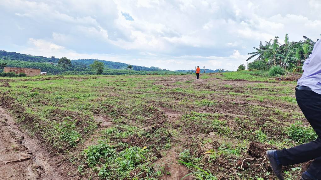 A picture of PLOTS AT 1 5M