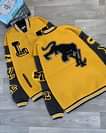 A picture of Jacket