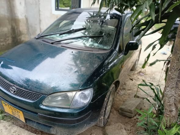 A picture of Toyota spacio