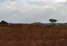 Tiyamike M.