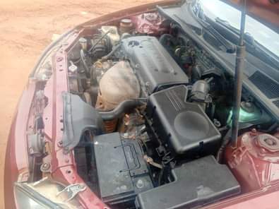 A picture of 08114560910 Serious buyer only is needed to call my number