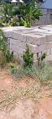 A picture of Kiwanja kinauzwa