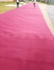 A picture of Wall to wall carpet 0757408702 0771452433