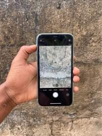 A picture of iPhone 11 plain