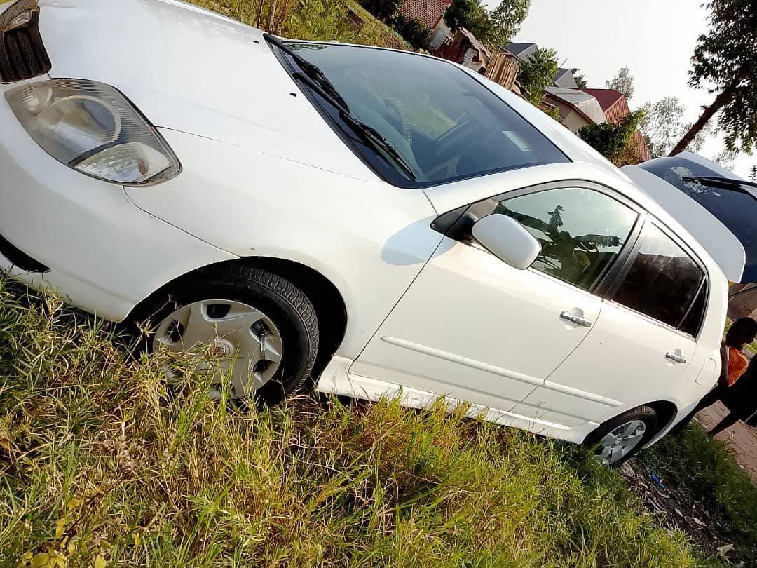 used toyota allex