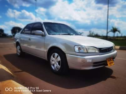used toyota corolla