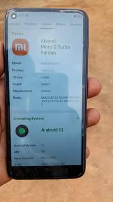 Kalungi L.