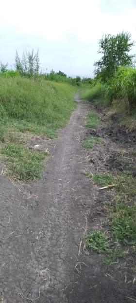 A picture of SHAMBA HEKA 10 ZINAUZWA KWA BEY YA