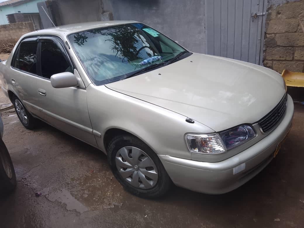 used toyota corolla