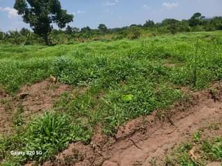 A picture of PLOTS FOR SALE