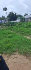 A picture of Kiwanja Kinauzwa