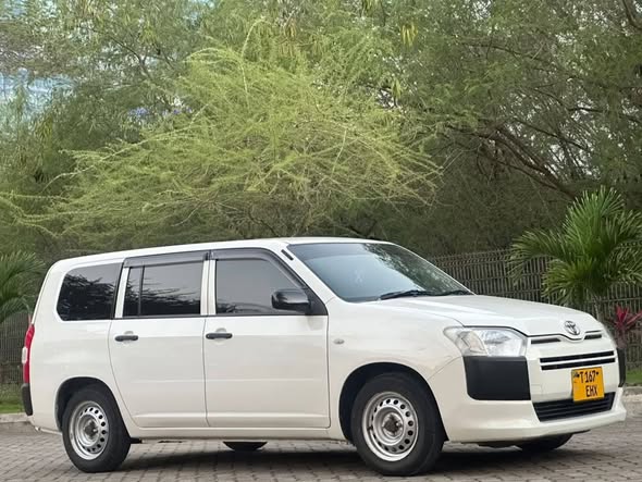 A picture of TOYOTA PROBOX