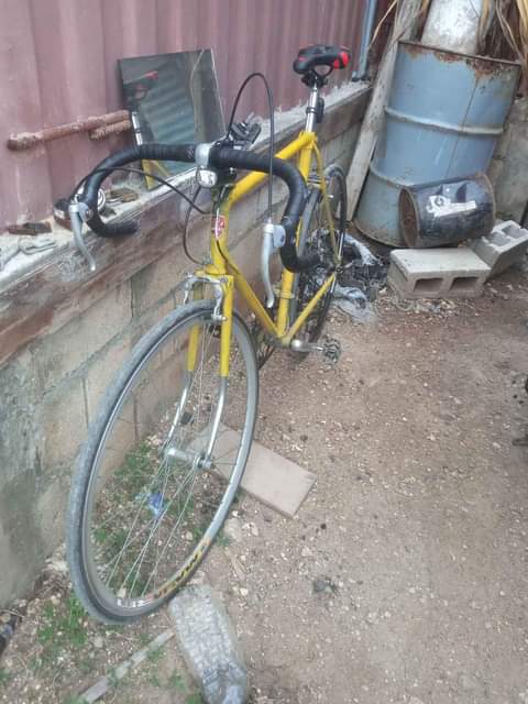 Jammarie T.