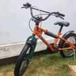 A picture of For sale Bike Size 16 Frame material Steel Disk brake