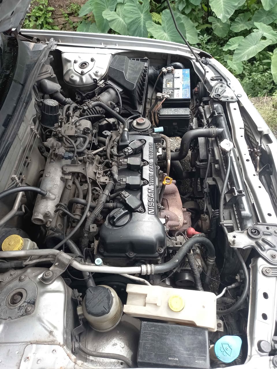 nissan y11