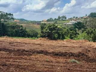 A picture of 50 100FT TITLED PLOTS WITHIN WAKISO FOR AS LOW AS