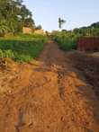 A picture of Plots on sale located at matugga gombe along matugga semuto
