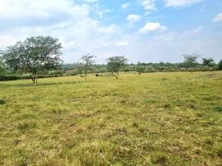 A picture of 12 acres at 260M all 0770379434