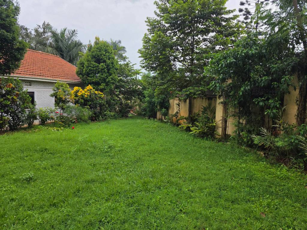 A picture of 49DECIMALS LAND IN BUKOTO AT UGX1 5BILLION