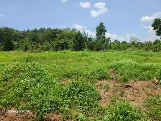 A picture of PLOTS FOR SALE