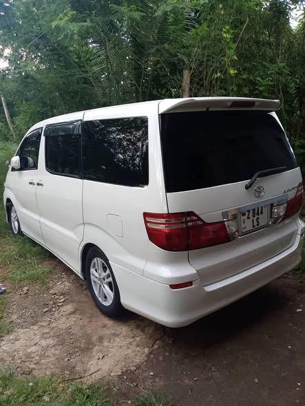 A picture of Alphard 9 5 m