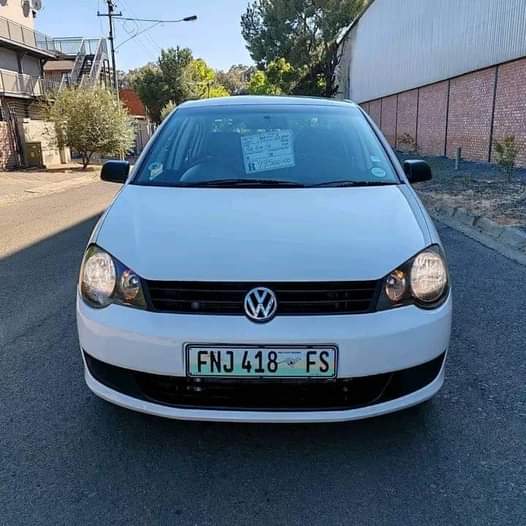 polo vivo