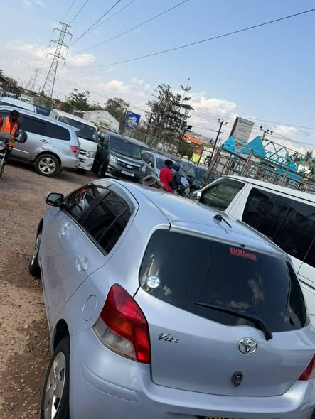 A picture of Vitz
