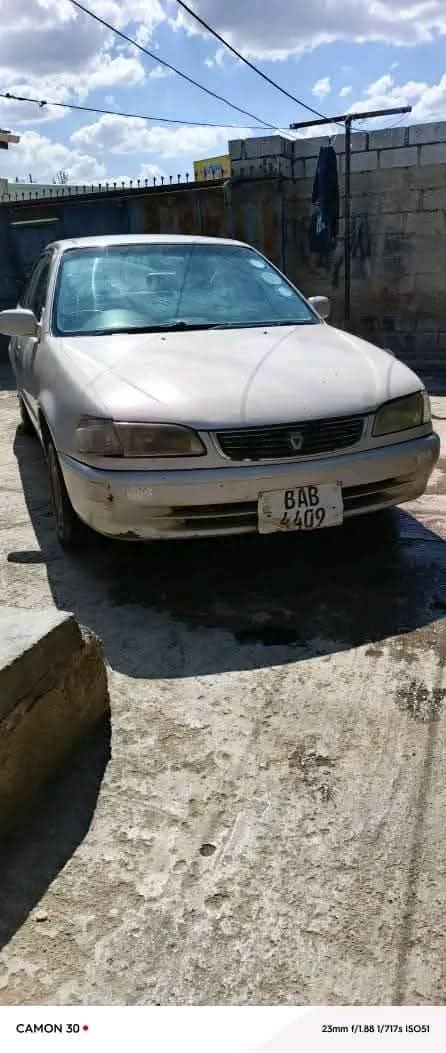 used toyota corolla