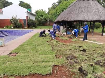 landscaping ssrvices