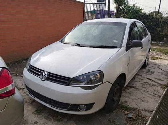polo vivo
