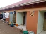 A picture of 5 single units for sale at 50m ush at Nansana