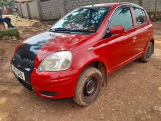 A picture of Vitz