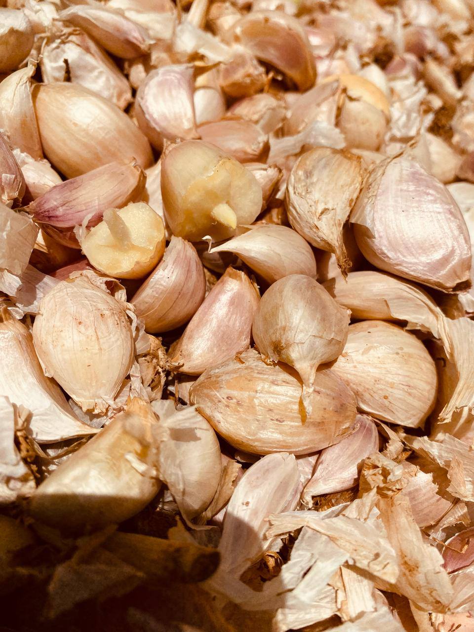 seeds