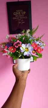 A picture of Maua artificial.