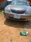 A picture of 2006 model buy and