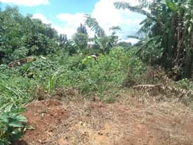 A picture of half acre for sale along mukono katosi road in kisoga