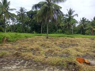 A picture of KIWANJA KINAUZWA KIBAMBA KILUVYA KWA KOMBA 25 KWA 20 SQM