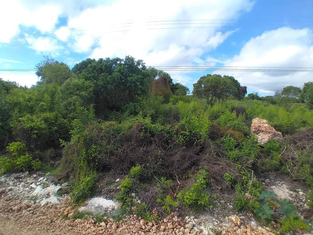 A picture of Amazing Land for Sale in Jambiani Zanzibar