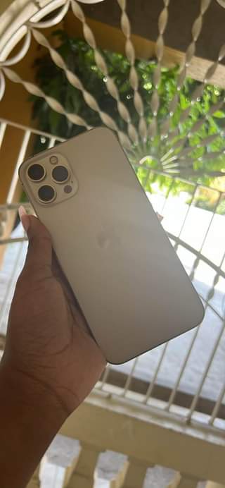 iphone 12pro