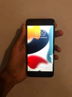 Apple F.