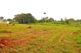 A picture of COMMERCIAL AND RESIDENTIAL PLOTS SALE