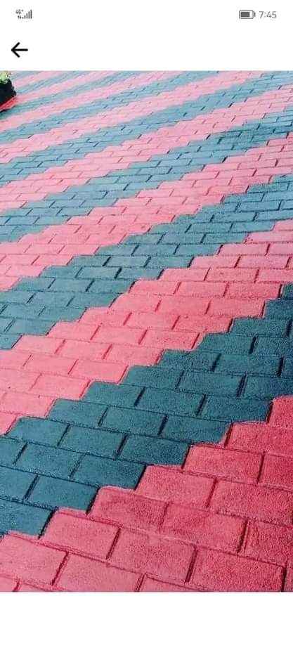 LIMPOPO V.
